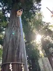 河口浅間神社(山梨県)