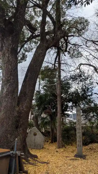膳所神社(滋賀県)