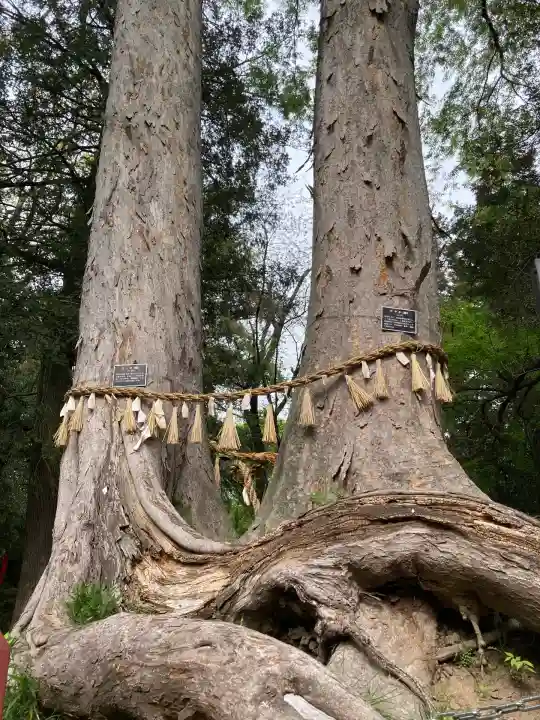 妻沼聖天山歓喜院(埼玉県)