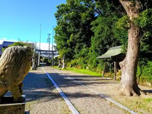 八幡社（白沢八幡神社）の狛犬