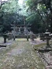 大照院のお墓