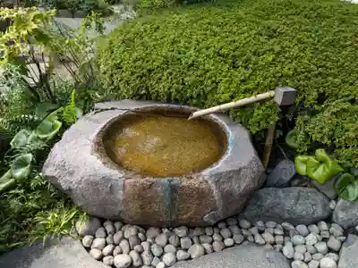 龍眼寺(萩寺)(東京都)