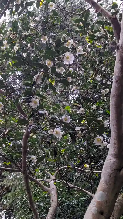 大豊神社(京都府)