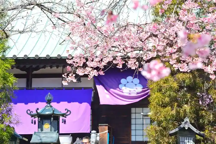 密藏院(埼玉県)