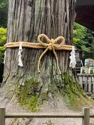 北口本宮冨士浅間神社のその他建物