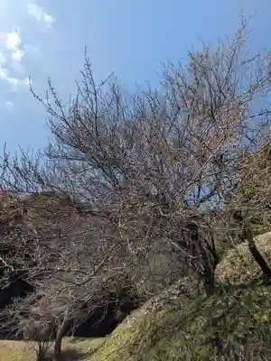 石内のお大師さん　金剛院(広島県)