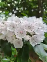厚別神社(北海道)