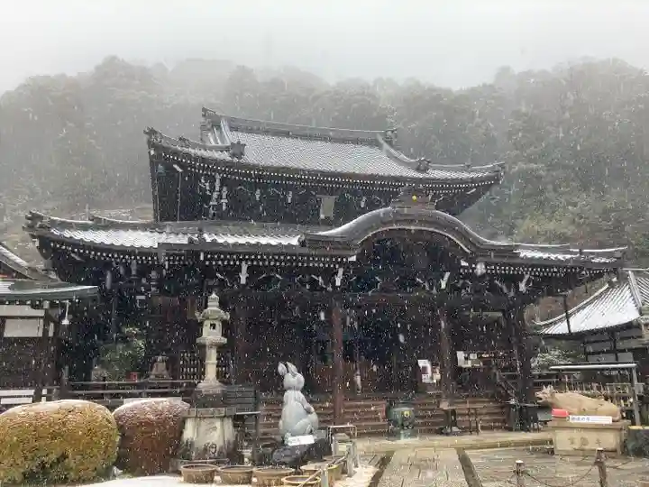三室戸寺の本殿・本堂