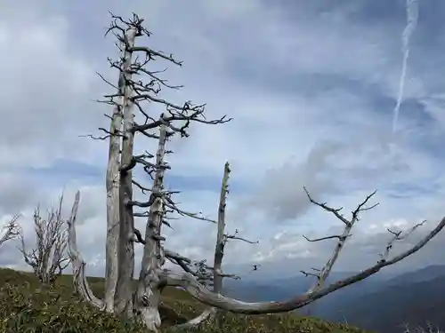 劔山本宮宝蔵石神社(徳島県)