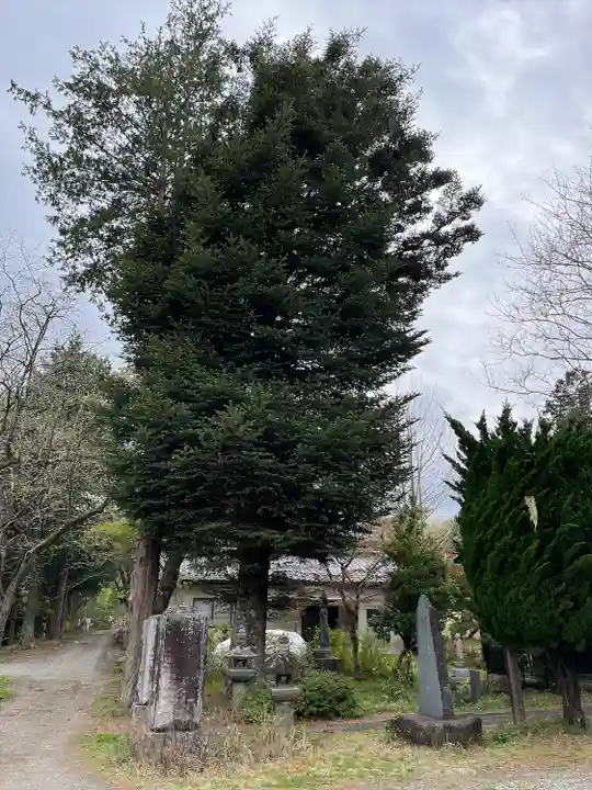 高龍寺(山梨県)