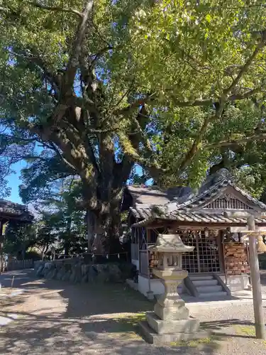 藤白神社の建物その他