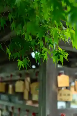 阿蘇神社(熊本県)