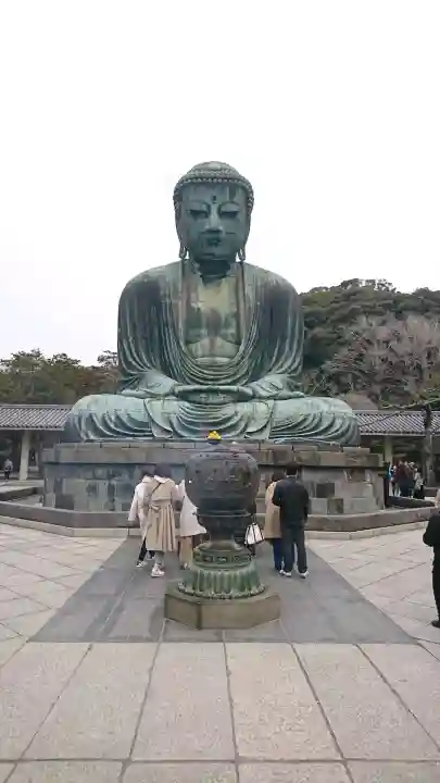 高徳院の{uncategorized: "未分類", other: "その他", undefined: "問題あり", building: "その他建物", grave: "お墓", sacred_gate: "鳥居", guardian: "狛犬", statue: "像", buddha: "仏像", history: "歴史", nature: "自然", garden: "庭園", animal: "動物", pagoda: "塔", temizu: "手水舎", mountain_gate: "山門・神門", sanctuary: "本殿・本堂", subordinate: "末社・摂社", art: "芸術", scenery: "景色", jizo: "地蔵", ema: "絵馬", goshuin: "御朱印", omikuji: "おみくじ", items: "授与品その他", amulet: "お守り", goshuincho: "御朱印帳", eats: "食事", festival: "お祭り", votive_dance: "神楽", shichigosan: "七五三参", wedding: "結婚式", experience: "体験その他", initially: "初詣", around: "周辺", anti_infection: "感染症対策"}
