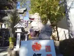 師岡熊野神社の狛犬