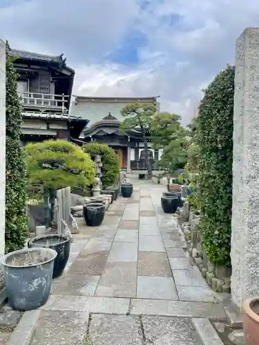 日蓮宗龍口山本龍寺の{uncategorized: "未分類", other: "その他", undefined: "問題あり", building: "その他建物", grave: "お墓", sacred_gate: "鳥居", guardian: "狛犬", statue: "像", buddha: "仏像", history: "歴史", nature: "自然", garden: "庭園", animal: "動物", pagoda: "塔", temizu: "手水舎", mountain_gate: "山門・神門", sanctuary: "本殿・本堂", subordinate: "末社・摂社", art: "芸術", scenery: "景色", jizo: "地蔵", ema: "絵馬", goshuin: "御朱印", omikuji: "おみくじ", items: "授与品その他", amulet: "お守り", goshuincho: "御朱印帳", eats: "食事", festival: "お祭り", votive_dance: "神楽", shichigosan: "七五三参", wedding: "結婚式", experience: "体験その他", initially: "初詣", around: "周辺", anti_infection: "感染症対策"}