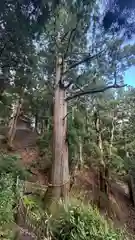 玉置神社(奈良県)