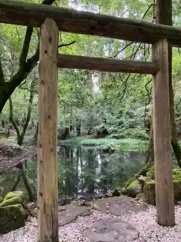 平泉寺白山神社(福井県)