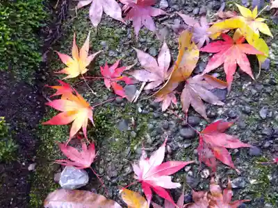 岡太神社(福井県)