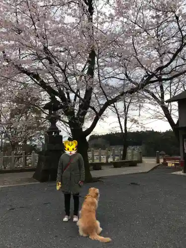 加茂別雷神社の動物