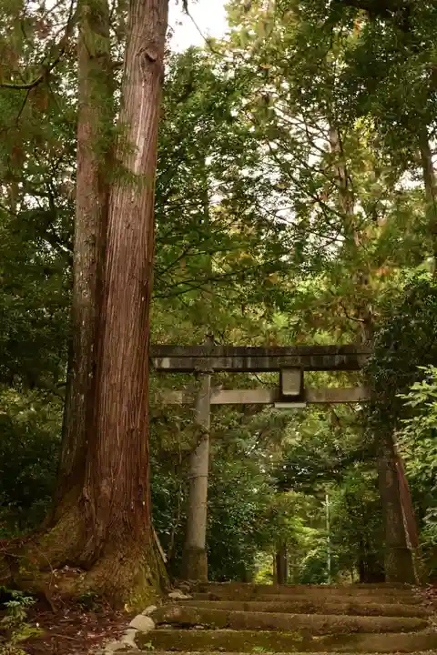 若一王子宮(高知県)