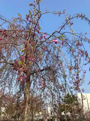 空知神社の自然