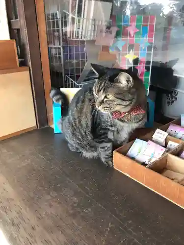 前玉神社の動物