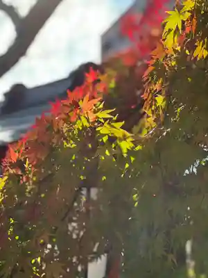 新倉富士浅間神社(山梨県)