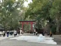 武蔵一宮氷川神社の{uncategorized: "未分類", other: "その他", undefined: "問題あり", building: "その他建物", grave: "お墓", sacred_gate: "鳥居", guardian: "狛犬", statue: "像", buddha: "仏像", history: "歴史", nature: "自然", garden: "庭園", animal: "動物", pagoda: "塔", temizu: "手水舎", mountain_gate: "山門・神門", sanctuary: "本殿・本堂", subordinate: "末社・摂社", art: "芸術", scenery: "景色", jizo: "地蔵", ema: "絵馬", goshuin: "御朱印", omikuji: "おみくじ", items: "授与品その他", amulet: "お守り", goshuincho: "御朱印帳", eats: "食事", festival: "お祭り", votive_dance: "神楽", shichigosan: "七五三参", wedding: "結婚式", experience: "体験その他", initially: "初詣", around: "周辺", anti_infection: "感染症対策"}