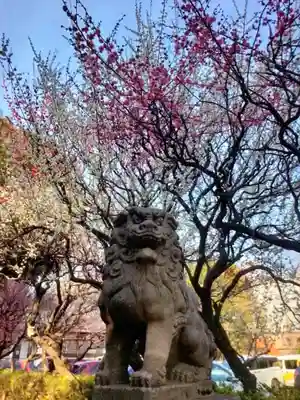 新井天神北野神社(東京都)