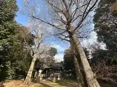 伊勢降神社(奈良県)