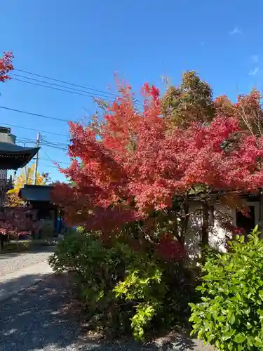 妙榮寺の庭園