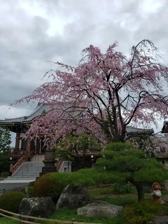 最勝寺(東京都)