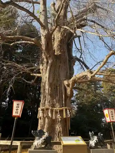 水戸八幡宮(茨城県)