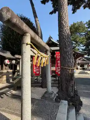 中野沼袋氷川神社の{uncategorized: "未分類", other: "その他", undefined: "問題あり", building: "その他建物", grave: "お墓", sacred_gate: "鳥居", guardian: "狛犬", statue: "像", buddha: "仏像", history: "歴史", nature: "自然", garden: "庭園", animal: "動物", pagoda: "塔", temizu: "手水舎", mountain_gate: "山門・神門", sanctuary: "本殿・本堂", subordinate: "末社・摂社", art: "芸術", scenery: "景色", jizo: "地蔵", ema: "絵馬", goshuin: "御朱印", omikuji: "おみくじ", items: "授与品その他", amulet: "お守り", goshuincho: "御朱印帳", eats: "食事", festival: "お祭り", votive_dance: "神楽", shichigosan: "七五三参", wedding: "結婚式", experience: "体験その他", initially: "初詣", around: "周辺", anti_infection: "感染症対策"}