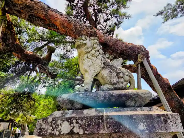 盛岡八幡宮(岩手県)