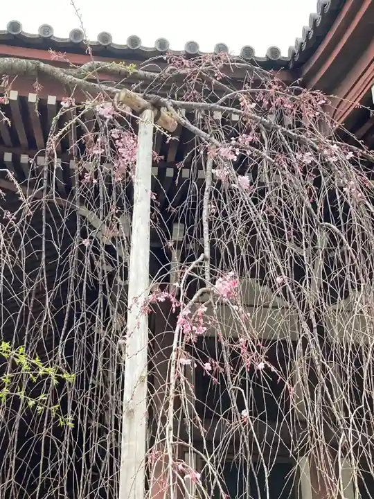 西徳寺(東京都)