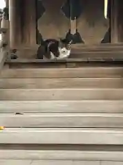 小野照崎神社の動物