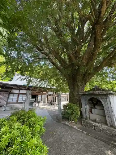 慈眼寺(徳島県)