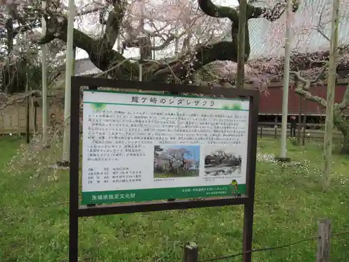 般若院(茨城県)