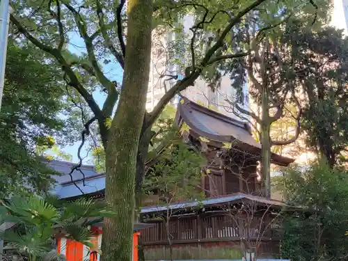 若宮八幡社の本殿・本堂