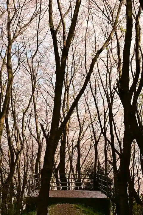 熊野神社(愛媛県)