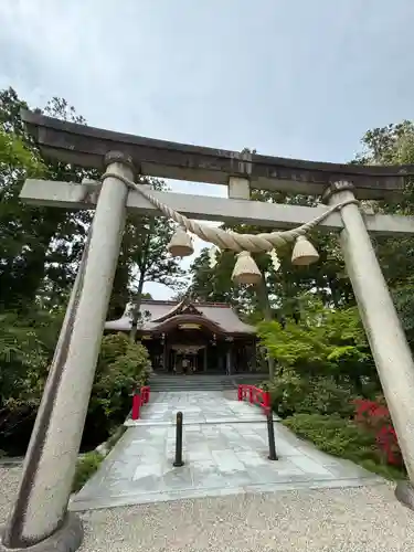 越中一宮 髙瀬神社の鳥居