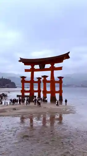 厳島神社の{uncategorized: "未分類", other: "その他", undefined: "問題あり", building: "その他建物", grave: "お墓", sacred_gate: "鳥居", guardian: "狛犬", statue: "像", buddha: "仏像", history: "歴史", nature: "自然", garden: "庭園", animal: "動物", pagoda: "塔", temizu: "手水舎", mountain_gate: "山門・神門", sanctuary: "本殿・本堂", subordinate: "末社・摂社", art: "芸術", scenery: "景色", jizo: "地蔵", ema: "絵馬", goshuin: "御朱印", omikuji: "おみくじ", items: "授与品その他", amulet: "お守り", goshuincho: "御朱印帳", eats: "食事", festival: "お祭り", votive_dance: "神楽", shichigosan: "七五三参", wedding: "結婚式", experience: "体験その他", initially: "初詣", around: "周辺", anti_infection: "感染症対策"}