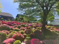 根津神社の御朱印