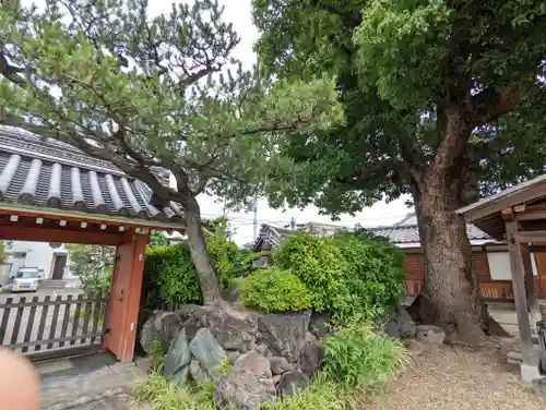 恋塚浄禅寺(京都府)