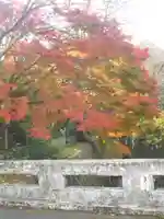 理智光寺跡(理智光寺址)<史跡>の自然