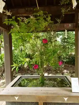 赤坂氷川神社(東京都)