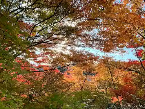 弘川寺(大阪府)