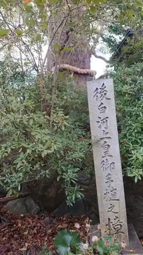 新熊野神社(京都府)