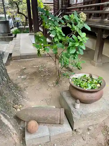正徳寺(東京都)